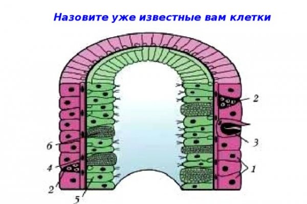 Кракен сайт at